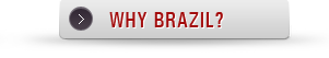 why-brazil